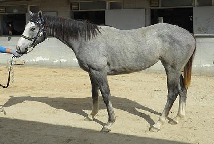 �ǹ��� ����