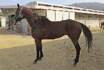 ��ǳ��� (JILPUNG HEAVEN) ����