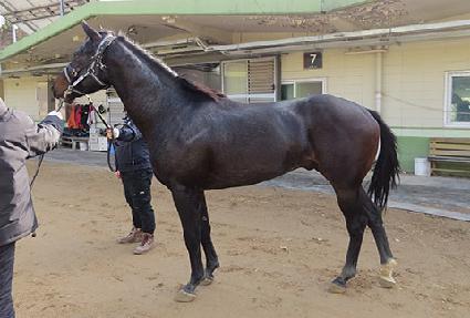 ��ǳ�� ����