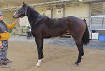 ��ǳ�̼� (JILPUNG MISO) ����