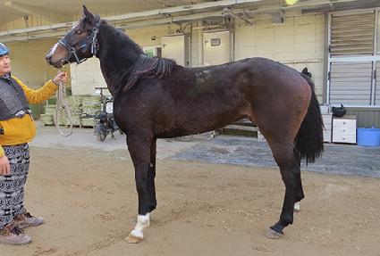 ��ǳ�̼� ����