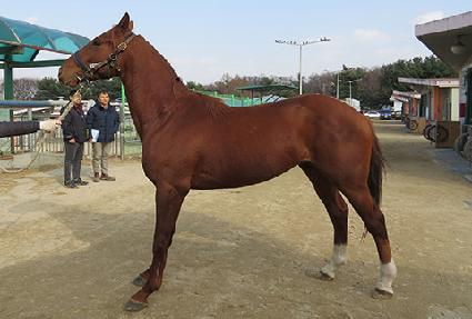 ��ǳ�Լ� ����