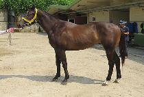 ���ž�÷��� (RAON TAP PLAY) ����