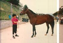 ������ (YEO SUNG SANG) ����