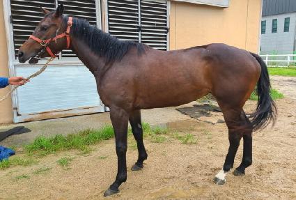 �帲�� ����