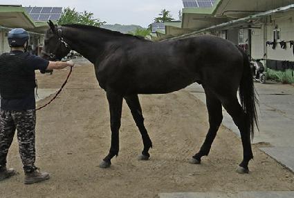 �������� ����