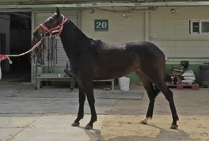 �̽����̳� ����