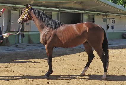 ����Ʈ���� ����