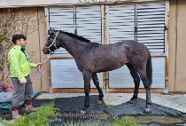 ��Ʈ�ѷ� (CONTROLLER) ����