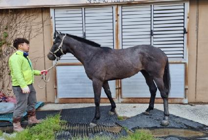 ��Ʈ�ѷ� ����