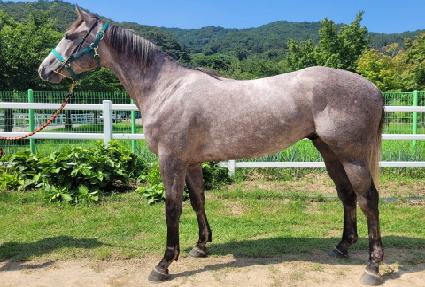 �����Ǹ��� ����