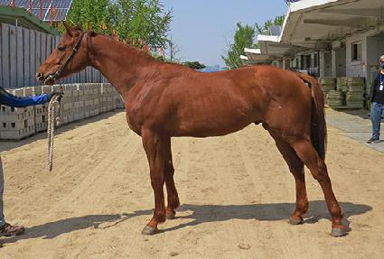 ��ũ�� ����