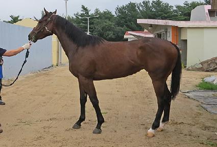 ũ����Լ� ����