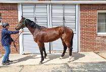 �������� (RIVERSTONE) ����