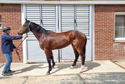 �������� ����