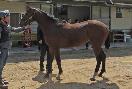 ���쿤��Ʈ ����