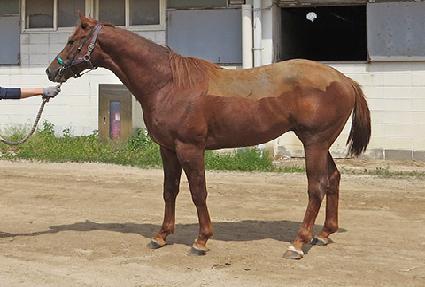 �����鿭�� ����