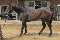 NONSTOP PLAY picture