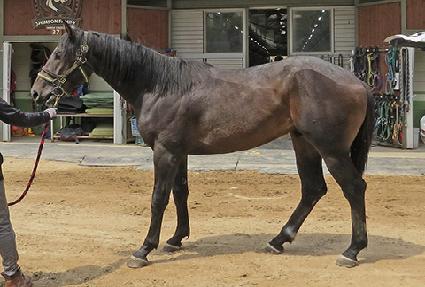 �������÷��� ����