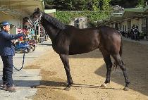 ��Ʈ���� (BEAT OCEAN) ����