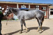 ��������� (GUKDAE HERO) ����