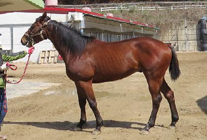 ����Ʈ�ǽ� ����