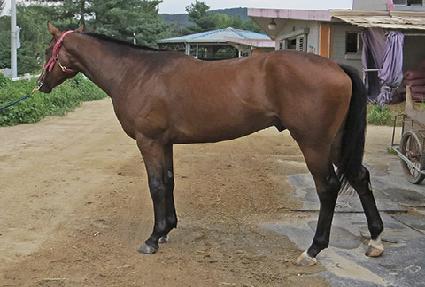 ���������� ����