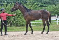 ONNURI TEUKGEUP picture