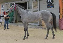 ���̽�Ÿ�� (NICE TIME) ����