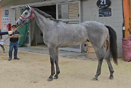 ���̽�Ÿ�� ����