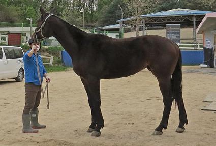 ũ������â ����