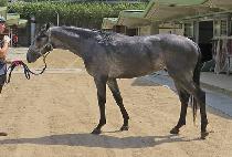 ��� (BAEKRYONG) ����