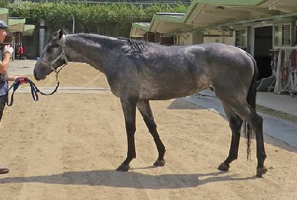 ��� ����