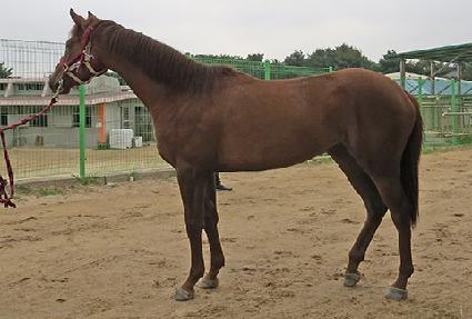 ���ǿ��� ����