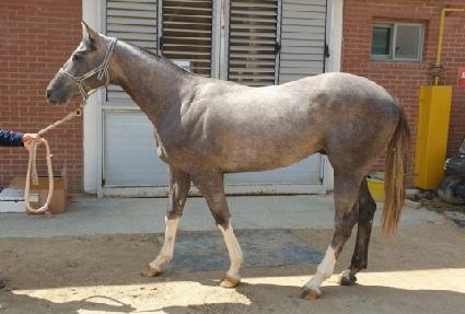 �����Ǳ۷θ� ����