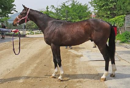 ������ ����