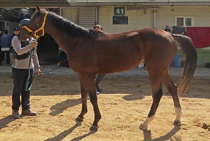 ����ϴ��� ����