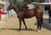 �̷�Ÿ�� (MIRAE TOWER) ����