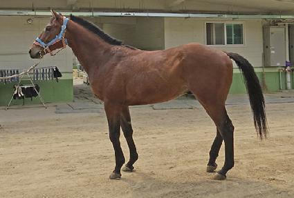 �Ѱ������� ����