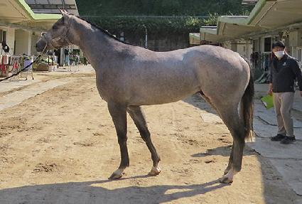 ���������� ����