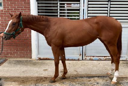 Ķ���� ����