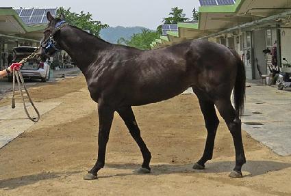 �ݼ���� ����