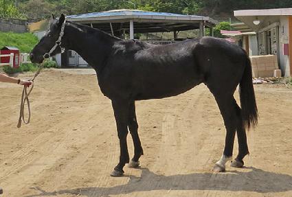 �����Ǻ� ����