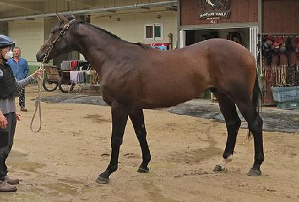 ����Ǯũ��� ����