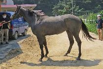 CHALLA JILJU picture