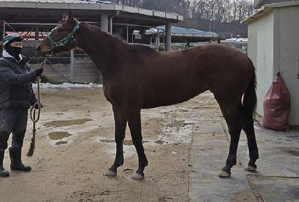 ������� ����