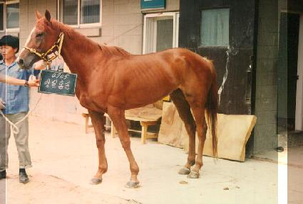 û��ȫ�� ����