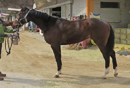 �ް��巡�� ����