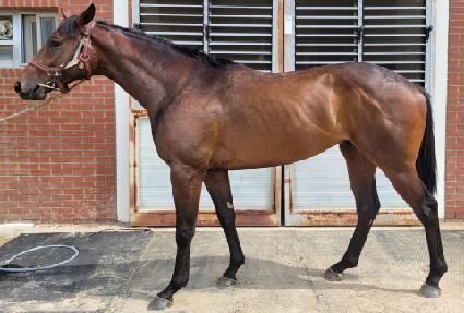 ȭ��Ʈ���� ����