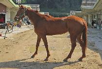 �ƽ��ʰ� (MAX TANGO) ����